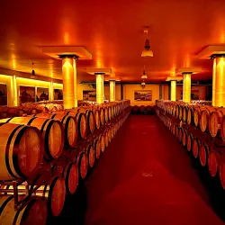 Local Winery Tours - Vrbas