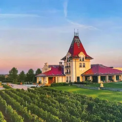 Local Winery Tours - Vrbas