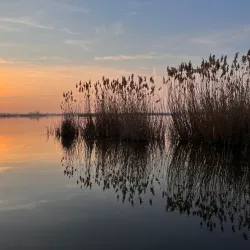 Ludaško Lake Nature Reserve - Vrbas