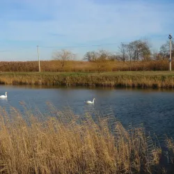 Ludaško Lake Nature Reserve - Vrbas