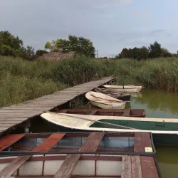 Ludaško Lake Nature Reserve - Vrbas