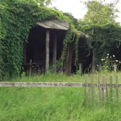 Ludaško Lake Nature Reserve - Vrbas