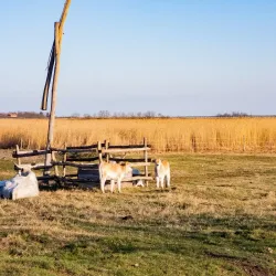 Ludaško Lake Nature Reserve - Vrbas