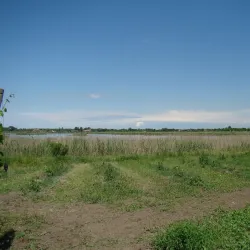 Ludaško Lake Nature Reserve - Vrbas