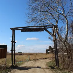 Ludaško Lake Nature Reserve - Vrbas