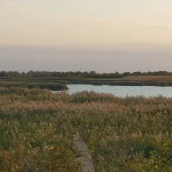 Ludaško Lake Nature Reserve - Vrbas