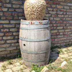 Traditional Serbian Village Experience - Vrbas