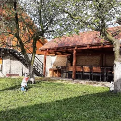Traditional Serbian Village Experience - Vrbas