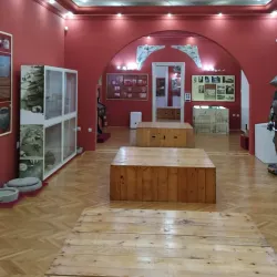 Vrbas Museum - Vrbas