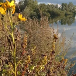 Vrbas Town Center - Vrbas