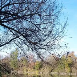 Vrbas Town Center - Vrbas