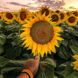 Vrbas Town Center - Vrbas