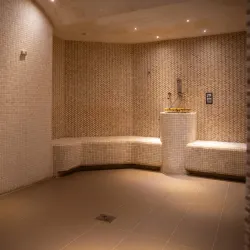 Old Vrnjačka Banja Hotel - Vrnjacka Banja