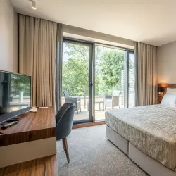 Old Vrnjačka Banja Hotel - Vrnjacka Banja