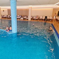 Old Vrnjačka Banja Hotel - Vrnjacka Banja