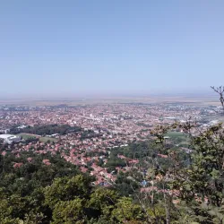 Vrsac Cultural Center - Vrsac