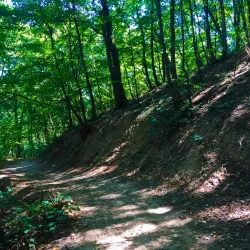 Vrsac Mountains - Vrsac