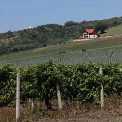 Vrsac Mountains - Vrsac