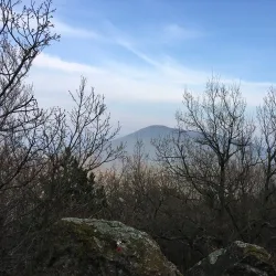 Vrsac Mountains - Vrsac