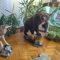 Knjaževac Cultural Center - Zajecar