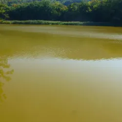 Timok River - Zajecar