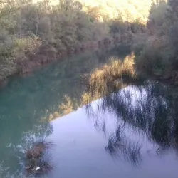 Timok River - Zajecar