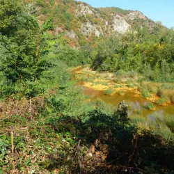 Timok River - Zajecar