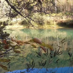 Timok River - Zajecar