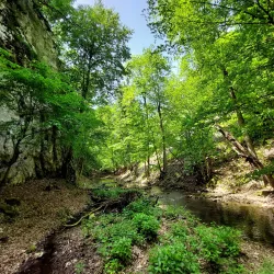 Vratna Gates - Zajecar