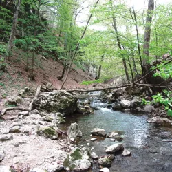 Vratna Gates - Zajecar