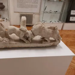 Zajecar National Museum - Zajecar