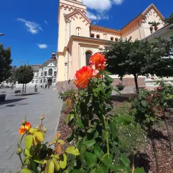 The Catholic Church of the Holy Trinity - Zrenjanin