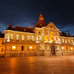 The City Hall (Gradska Kuća) - Zrenjanin