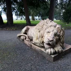 The City Park (Gradski Park) - Zrenjanin