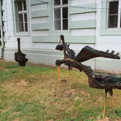 The City Park (Gradski Park) - Zrenjanin