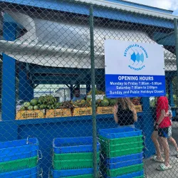 Anse Royale Market - Anse Royale