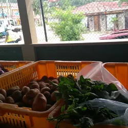 Anse Royale Market - Anse Royale