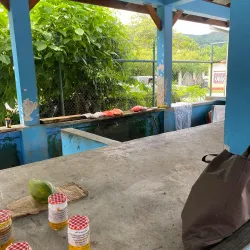 Anse Royale Market - Anse Royale