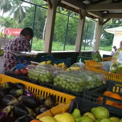 Anse Royale Market - Anse Royale