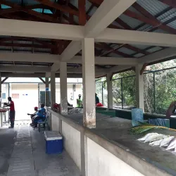 Anse Royale Market - Anse Royale