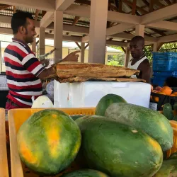 Anse Royale Market - Anse Royale