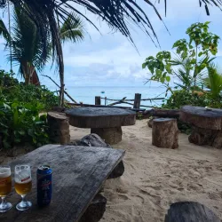 Local Restaurants and Cafes - Anse Royale
