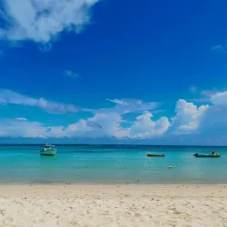 Local Restaurants and Cafes - Anse Royale