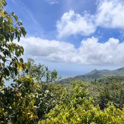Nature Trails around Anse Royale - Anse Royale