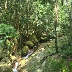 Nature Trails around Anse Royale - Anse Royale
