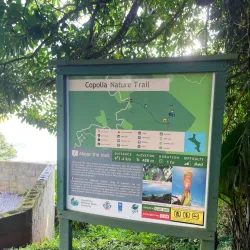 Nature Trails around Anse Royale - Anse Royale