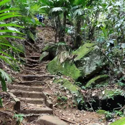 Nature Trails around Anse Royale - Anse Royale