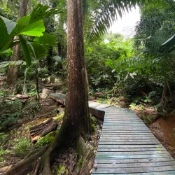 Nature Trails around Anse Royale - Anse Royale