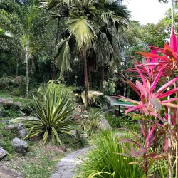 Seychelles National Botanical Gardens - Anse Royale