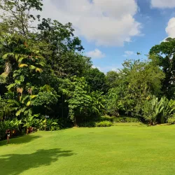 Seychelles National Botanical Gardens - Anse Royale